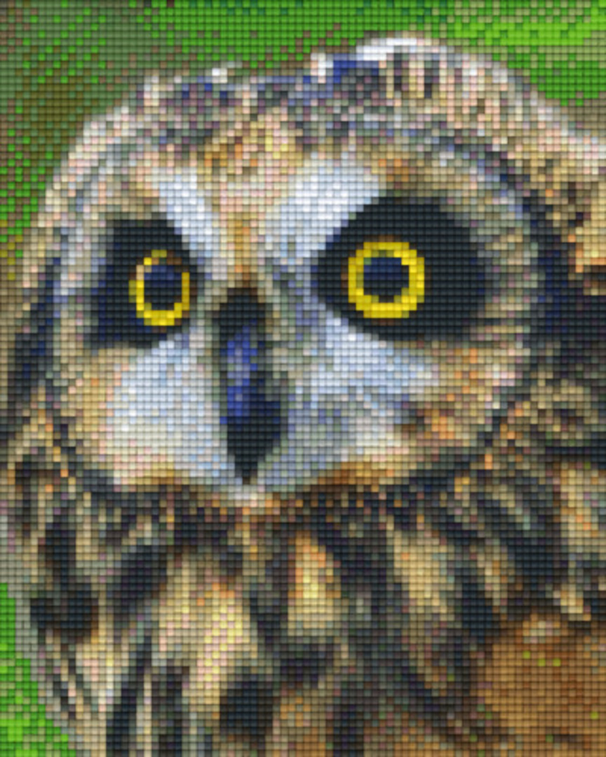 Owl Four [4] Baseplate PixelHobby Mini-mosaic Art Kit image 0